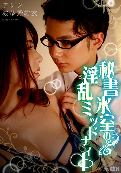 波多野结衣-秘書氷室の淫乱ミッドナイト 海报