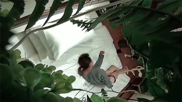 酒店偷拍绝密珍藏：绿植情趣房内少妇高潮喷水实录 海报