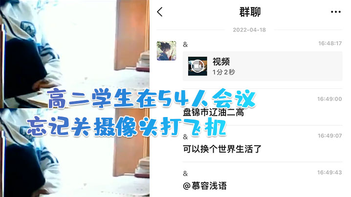 高二学生在54人会议中忘记关摄像头打飞机 海报